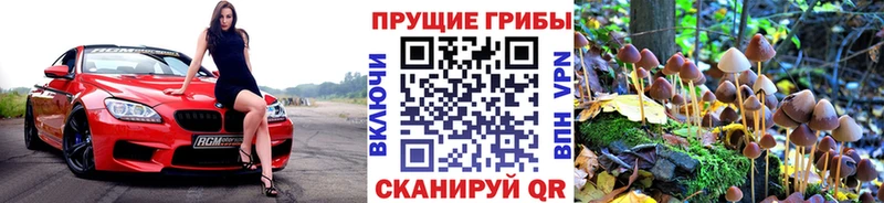 даркнет телеграм  где купить наркоту  Ужур  Псилоцибиновые грибы ЛСД 